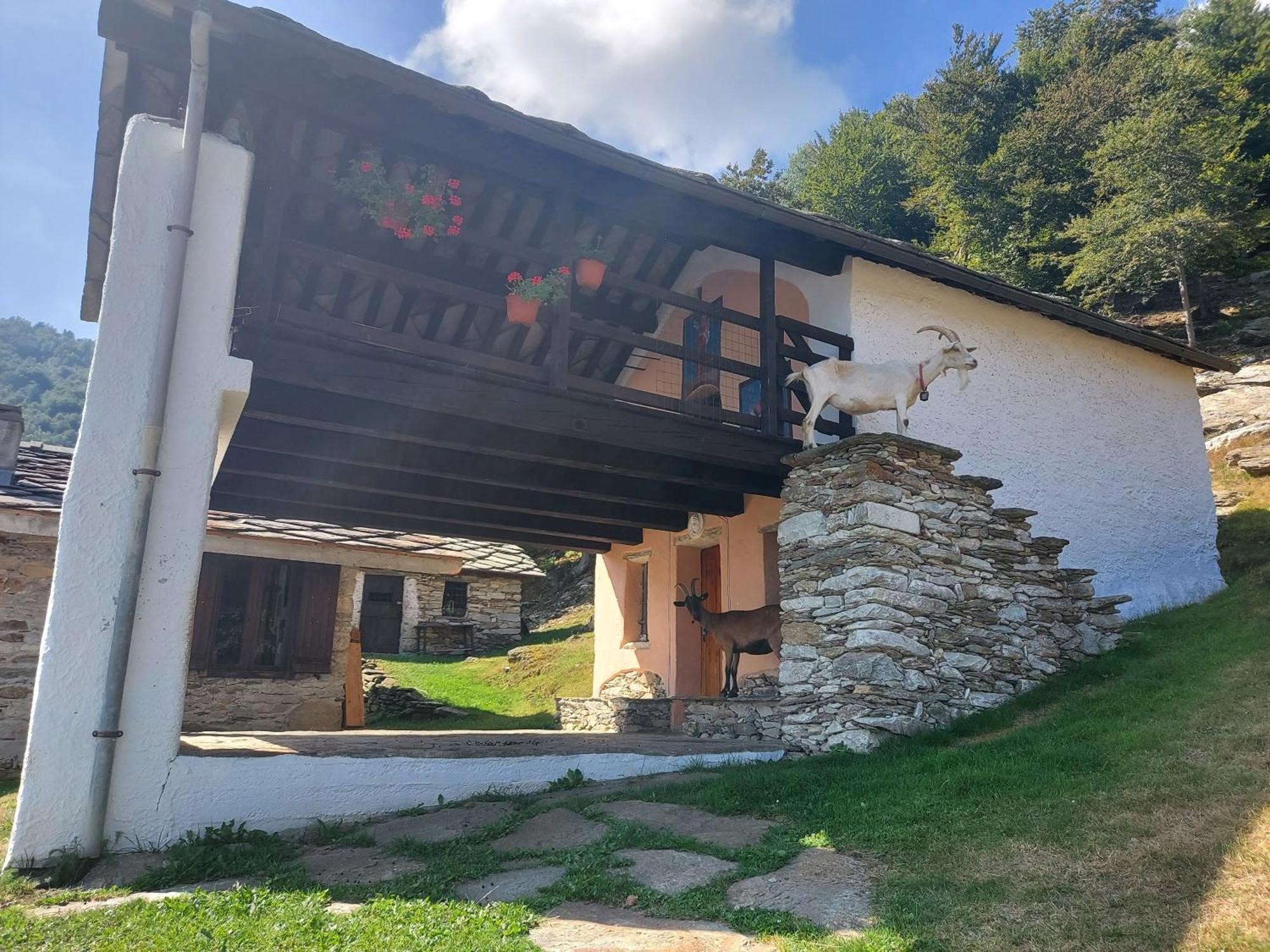 Gran Paradiso Alpette Ngoại thất bức ảnh
